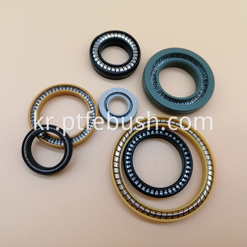 Spring Energized Seal 14